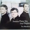Bedřich Smetana / Franz Liszt - Trio Wanderer-0