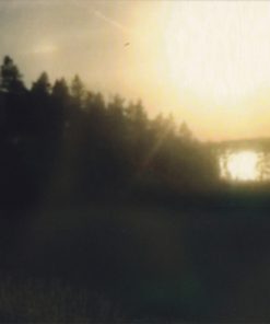 The Field-4