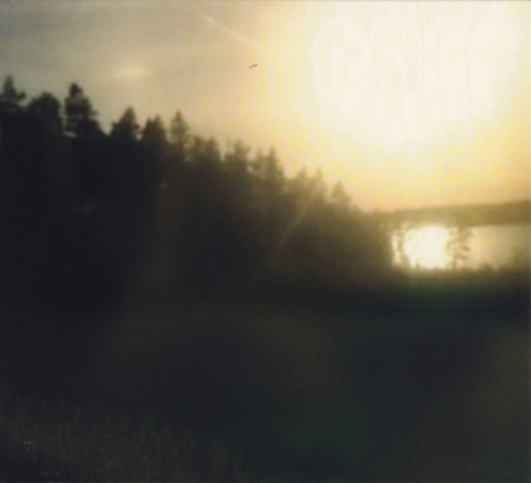 The Field-4