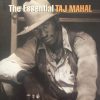 Taj Mahal-0