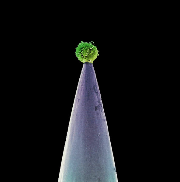 Peter Gabriel-4
