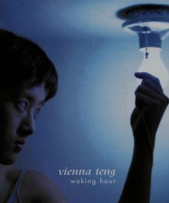 Vienna Teng-0