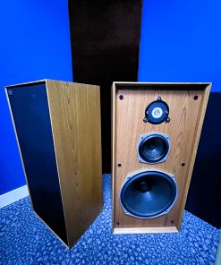 CELESTION DITTON 44