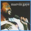 Marvin Gaye-0