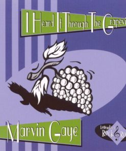 Marvin Gaye-0