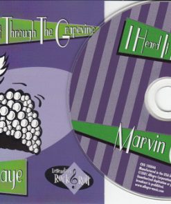 Marvin Gaye-1