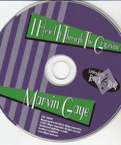 Marvin Gaye-2