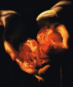 Sarah Brightman-3