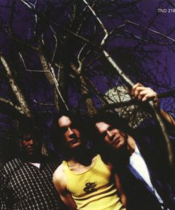 North Mississippi Allstars-4