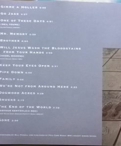 Bill Frisell-4