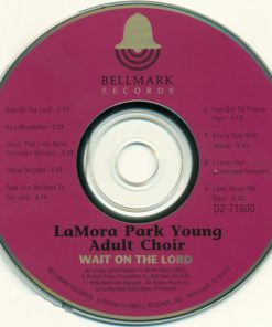 La Mora Park Young Adult Choir-2