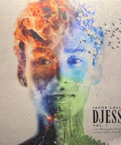Jacob Collier With Metropole Orchestra Conducted By Jules Buckley-0