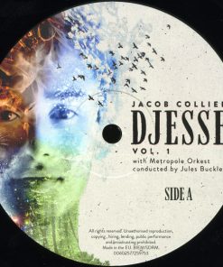 Jacob Collier With Metropole Orchestra Conducted By Jules Buckley-2