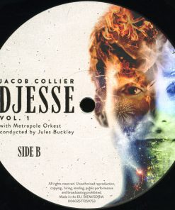 Jacob Collier With Metropole Orchestra Conducted By Jules Buckley-3
