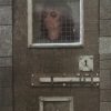 Alice Cooper (2)-0