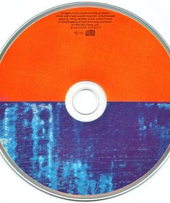 Paul Weller-2