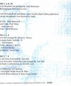The Vitamin String Quartet-4