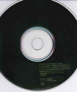 Pat Metheny-2