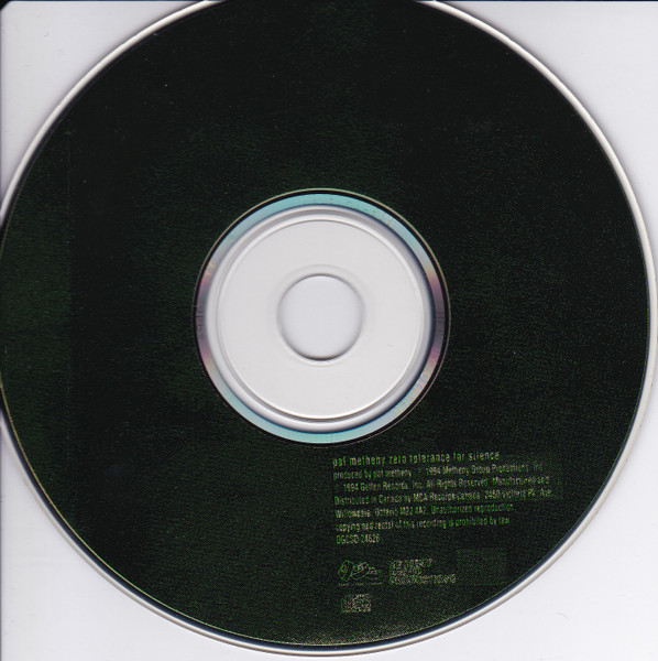 Pat Metheny-2
