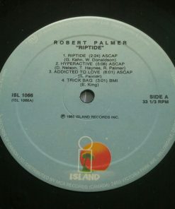 Robert Palmer-2