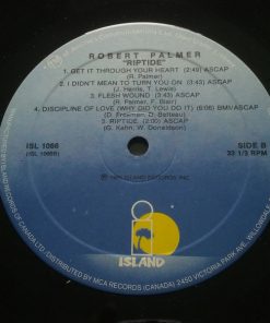Robert Palmer-3