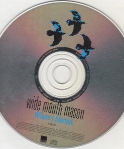 Wide Mouth Mason-2