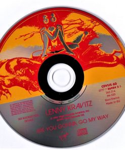 Lenny Kravitz-2