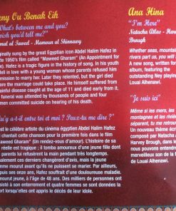 Natacha Atlas & The Mazeeka Ensemble-4