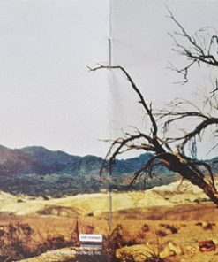 Lucinda Williams-4