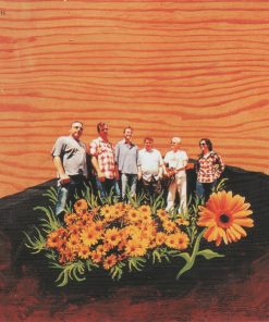 Blue Rodeo-4