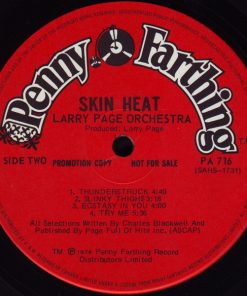 Larry Page Orchestra-3