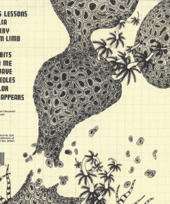 The Shins-1