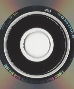 The Shins-3