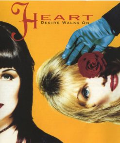 Heart-3