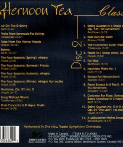 The New World Symphony Orchestra-2