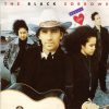 The Black Sorrows-0