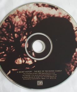 The Divine Comedy-2