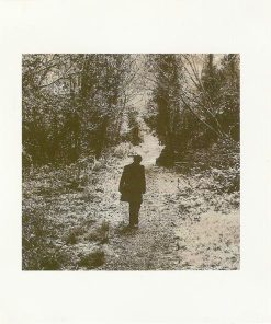 The Divine Comedy-4