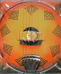 Hans Theessink-4
