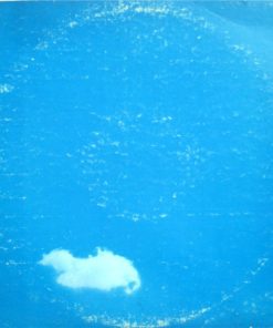The Plastic Ono Band-0