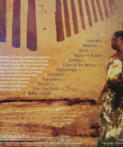 Chiwoniso Maraire-2