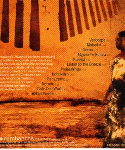 Chiwoniso Maraire-3
