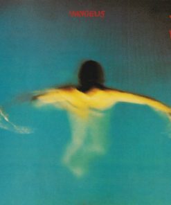 Vangelis-0