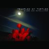 Trampled By Turtles-0