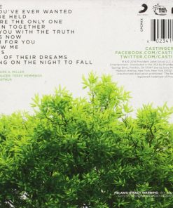 Casting Crowns-1
