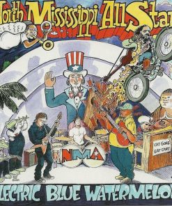 North Mississippi Allstars-0
