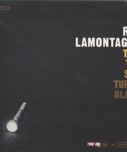 Ray Lamontagne-0