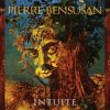 Pierre Bensusan-0