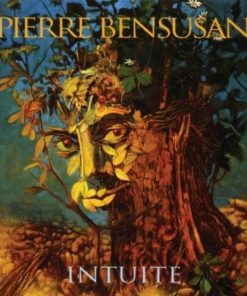 Pierre Bensusan-0