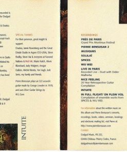Pierre Bensusan-3
